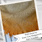 Preview: Arnica* Gradient yarn 75/25 Merino/Silk - Fingering