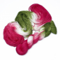 Preview: Pink Pointsettia - Merino-Sockenwolle 4-fach