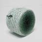 Preview: Irish Moss* Gradient yarn Merino-Winter - DK