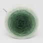 Preview: Irish Moss* Gradient yarn 75/25 Merino/Silk - Fingering