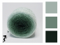 Preview: Irish Moss* Gradient yarn 75/25 Merino/Silk - Fingering