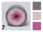 Preview: Lovely Peony* Gradient yarn 75/25 Merino/Silk - Fingering
