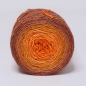Preview: Pumpkin Spice - gradient yarn 75/25 merino/silk - fingering weight