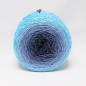 Preview: Nautilus - gradient yarn 75/25 merino/silk - fingering weight