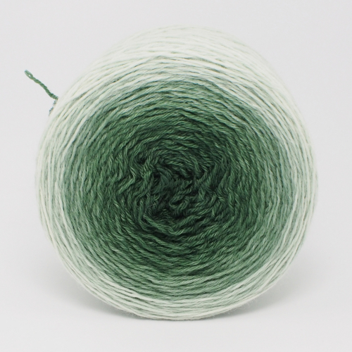 Irish Moss* Gradient yarn 75/25 Merino/Silk - Fingering
