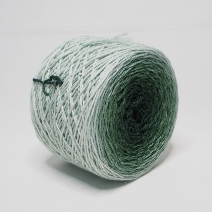 Irish Moss* Gradient yarn Merino-Winter - DK